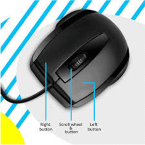 ZEBRONICS Wing Mouse