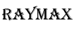 Raymax Logo